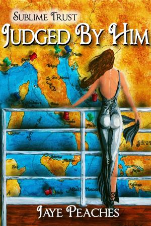 Cover of the book Judged by Him by Priscilla Terry
