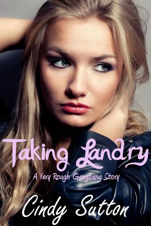 Cover of the book Taking Landry by Raquel Rogue