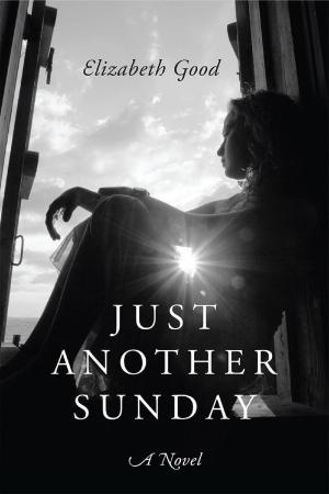 Cover of the book Just Another Sunday: A Novel by Jeannie Meekins