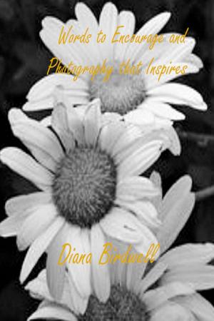 bigCover of the book Words to Encourage and Photography that Inspires by 