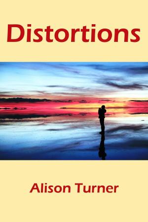 bigCover of the book Distortions by 