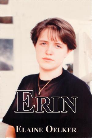 Cover of the book Erin by Jo Schneider