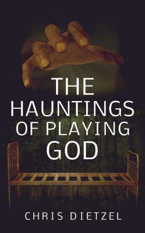 Cover of the book The Hauntings of Playing God by Chris Wooding