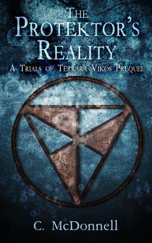 bigCover of the book The Protektor's Reality: A Trials of Terrara Vikos Prequel by 