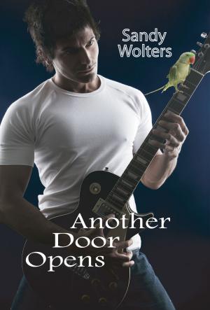 Cover of the book Another Door Opens by Natasha Deen