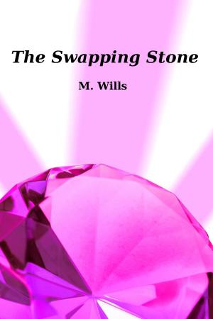 bigCover of the book The Swapping Stone by 