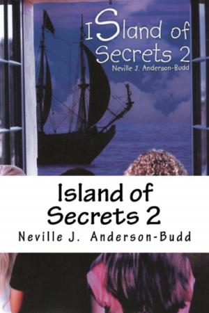 Cover of the book Island of Secrets 2 by J