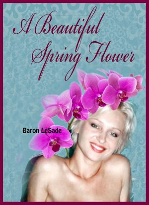 Cover of the book A Beautiful Spring Flower by Kate McMurray