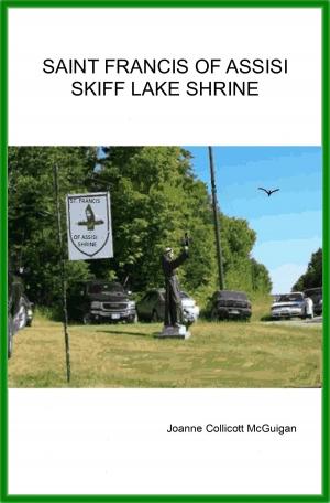 Cover of Saint Francis of Assisi Skiff Lake Shrine