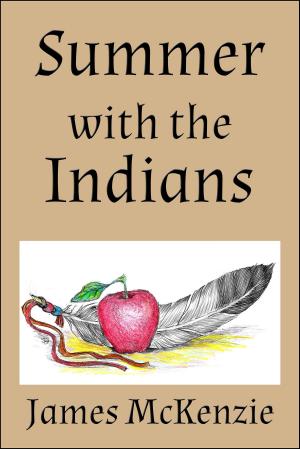 Cover of the book Summer with the Indians by Greg McAllister