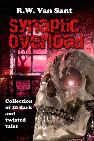 Book cover of Synaptic Overload