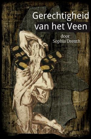 Cover of the book Gerechtigheid van het Veen by Susan Colleen Browne