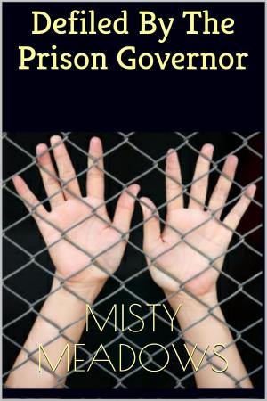 Cover of the book Defiled By The Prison Governor (Virgin, First Time) by Misty Meadows