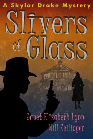 Book cover of Slivers of Glass