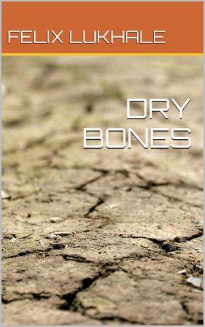 Cover of the book Dry Bones by Carrie Clevenger
