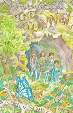 Cover of the book The Tunnel by Clover Autrey