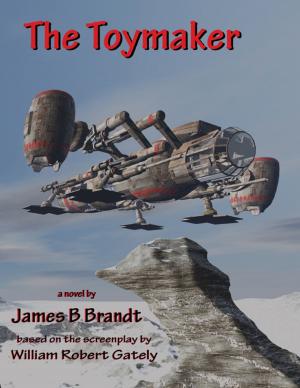 Cover of the book The Toymaker by Kym Kostos