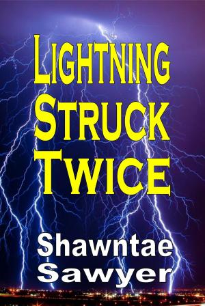 Cover of the book Lightning Struck Twice by Darren Cox