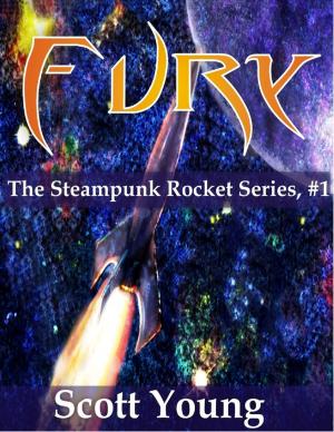 Cover of the book Fury by Tami Brady