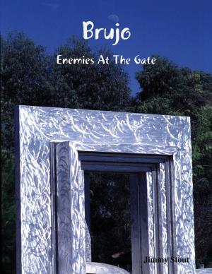Cover of the book Brujo: Enemies At the Gate by Troy Edwards
