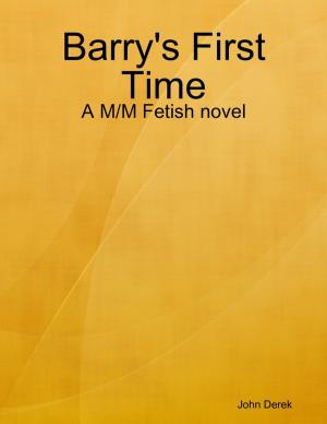 Book cover of Barry's First Time