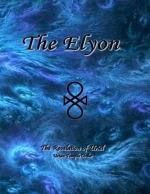 Cover of the book The Elyon by Megan Lowmaster