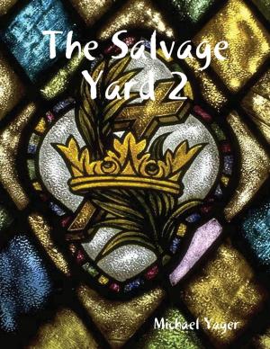 Book cover of The Salvage Yard 2