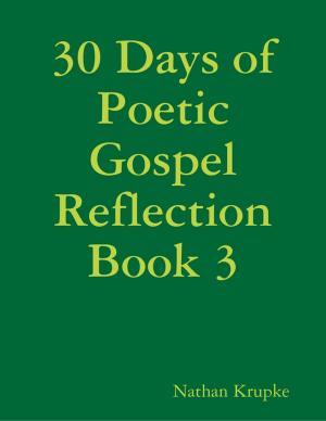 Cover of the book 30 Days of Poetic Gospel Reflection Book 3 by Vince Stead