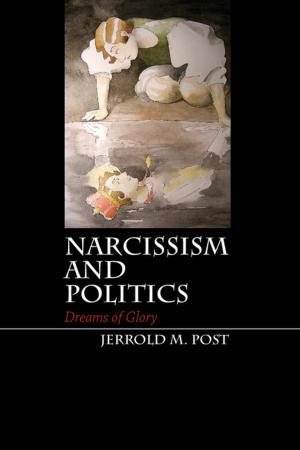 Cover of the book Narcissism and Politics by Peter H. Argersinger