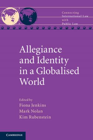 Cover of the book Allegiance and Identity in a Globalised World by Thomas B. Newman, Michael A. Kohn