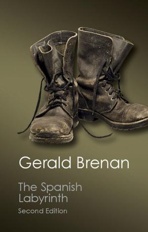 Cover of the book The Spanish Labyrinth by Captain Meghan Cleary
