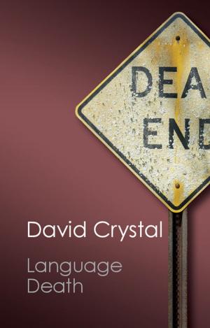 Cover of the book Language Death by Robert Fitzgerald
