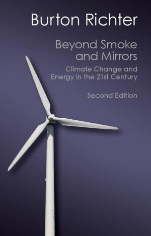 Cover of the book Beyond Smoke and Mirrors by 