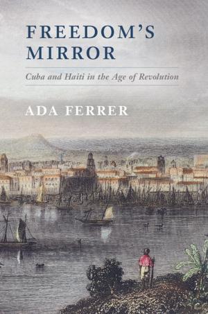 Book cover of Freedom's Mirror