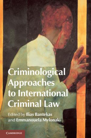 Cover of the book Criminological Approaches to International Criminal Law by Richard Preiss