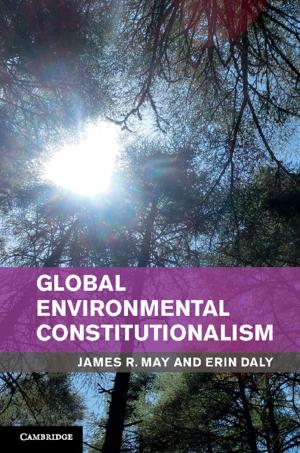 Cover of the book Global Environmental Constitutionalism by Rachel Neis