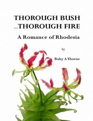 Cover of the book Thorough Bush … Thorough Fire by John Bura, Alexandra Kropova, Glauco Pires, Kevin Liao