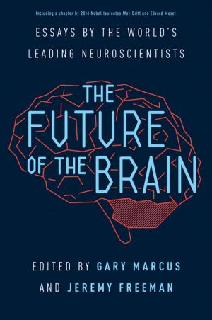 Cover of the book The Future of the Brain by Steven A. Barnes