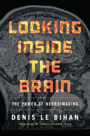 Cover of the book Looking Inside the Brain by Eléna Rivera