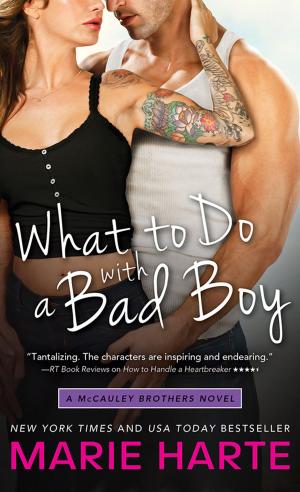 Cover of the book What to Do with a Bad Boy by Nicole Helm