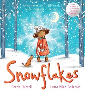 Cover of the book Snowflakes by Jo Simmons