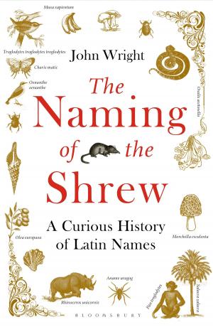 Cover of the book The Naming of the Shrew by Robert Shaughnessy