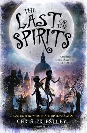 Cover of the book The Last of the Spirits by David Archer, Mr Morc Coulson