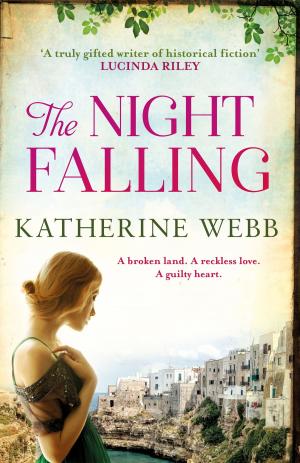 bigCover of the book The Night Falling by 