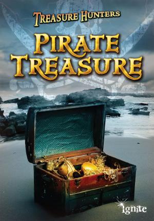 Book cover of Pirate Treasure