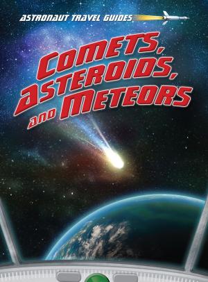 Cover of the book Comets, Asteroids, and Meteors by Michael Dahl