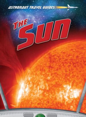 Cover of the book The Sun by Jennifer Lynn Jones