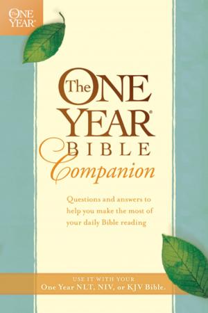 Book cover of The One Year Bible Companion