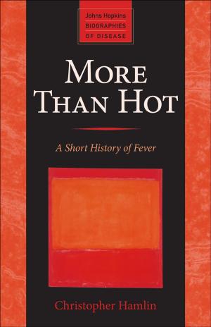 Cover of the book More Than Hot by Matthew A. Crenson