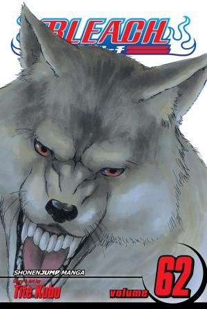 Cover of the book Bleach, Vol. 62 by Kazune Kawahara